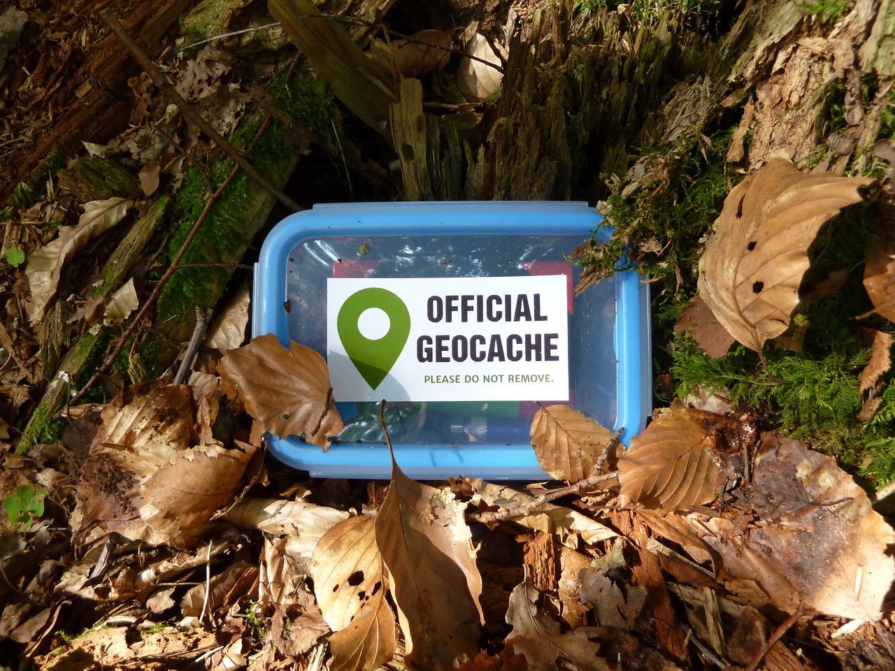 geocache hidden in leafs