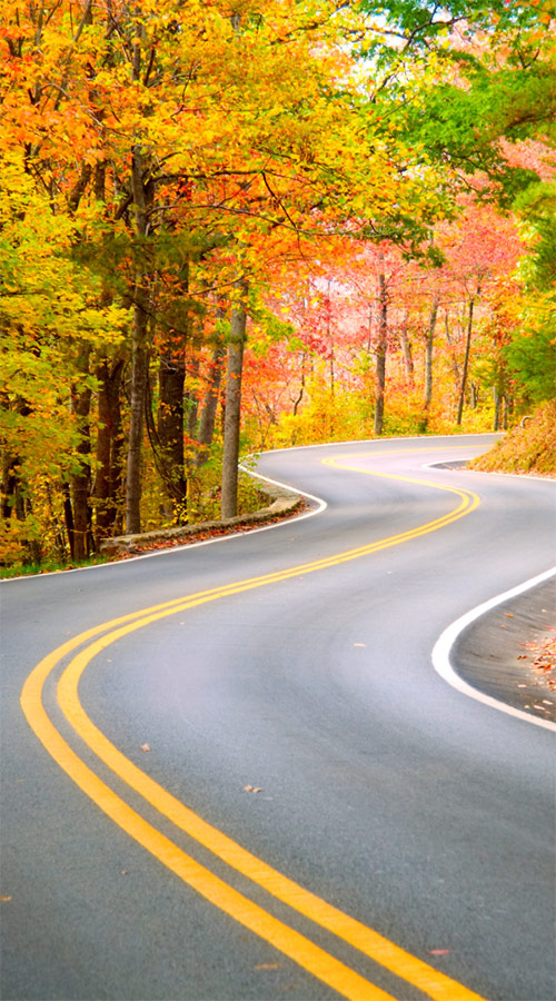 double yellow lines on a road