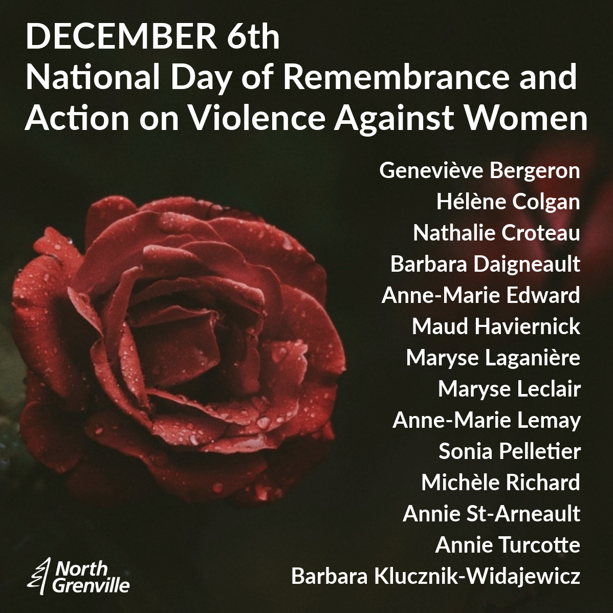 National Day of Remembrance and Action on Violence Against Women