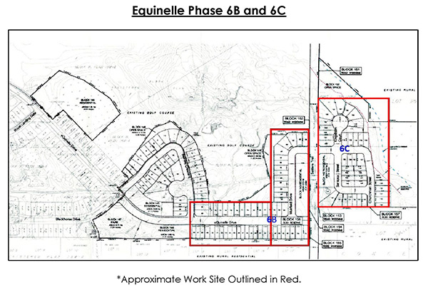 eQuinelle Tree CuttingTH