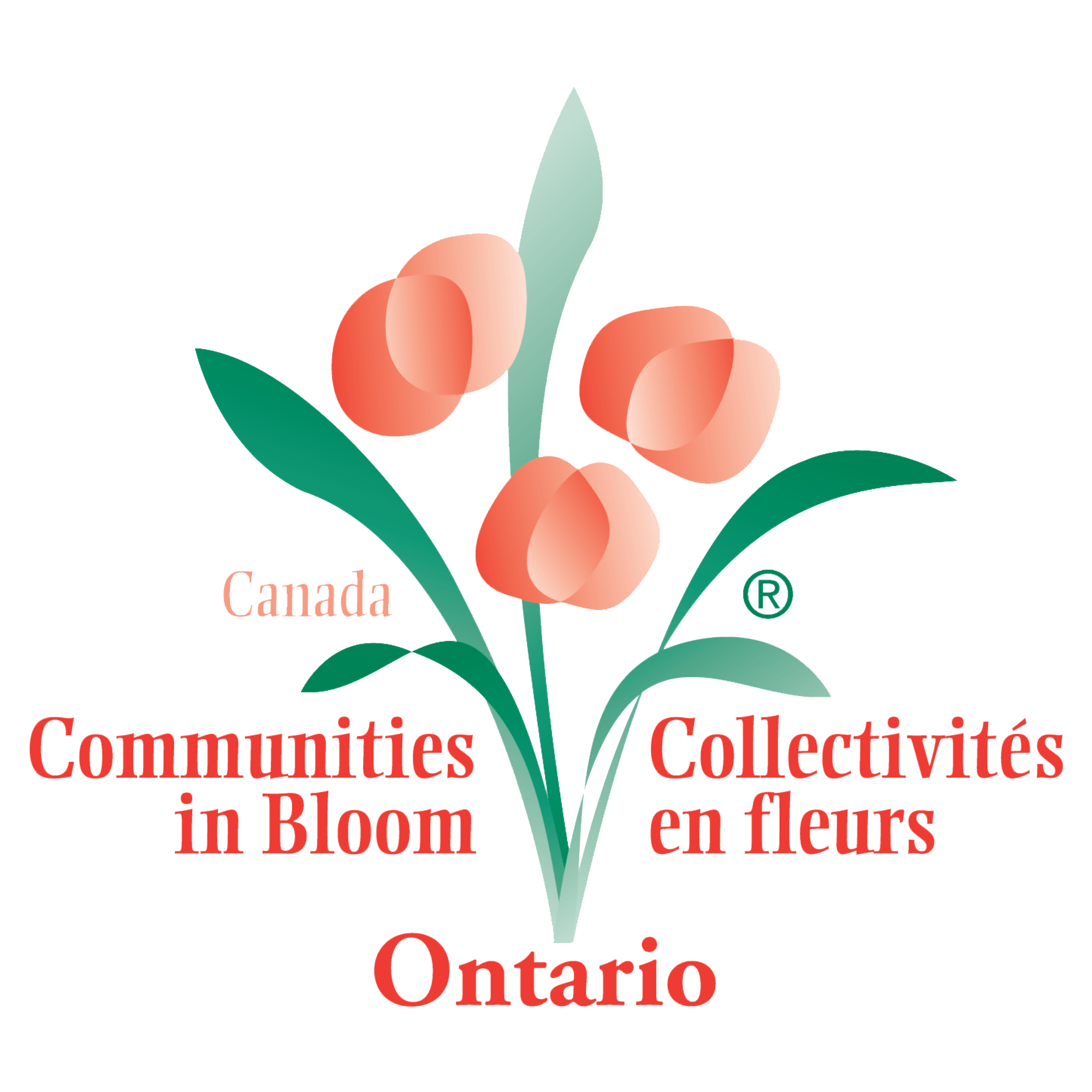 Communities in Bloom