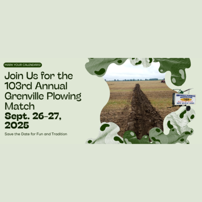 Untitled design - 2025-07-17T181715.671.png